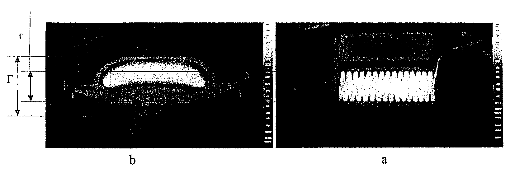 рис. 1