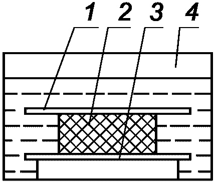 рис. 1