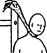 рис. 65