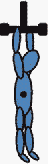 рис. 96