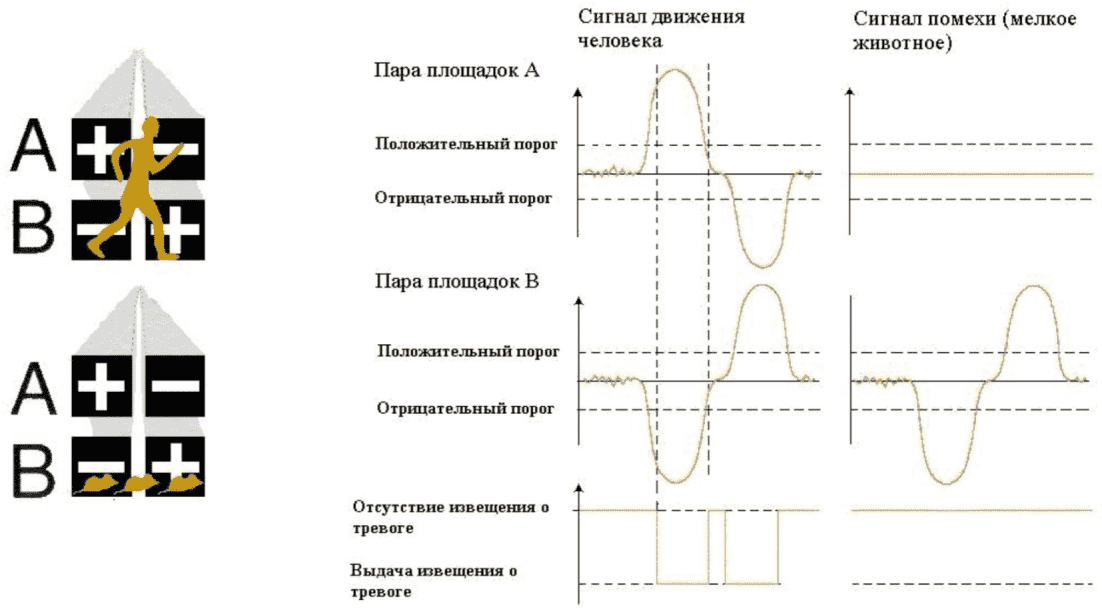 1.1 Устройство и принцип действия