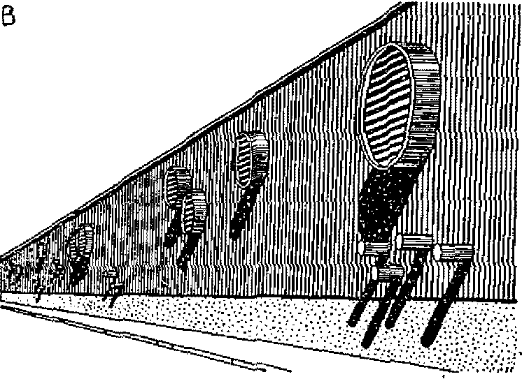 рис. 113