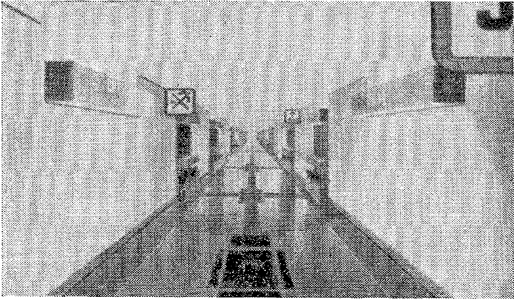 рис. 167