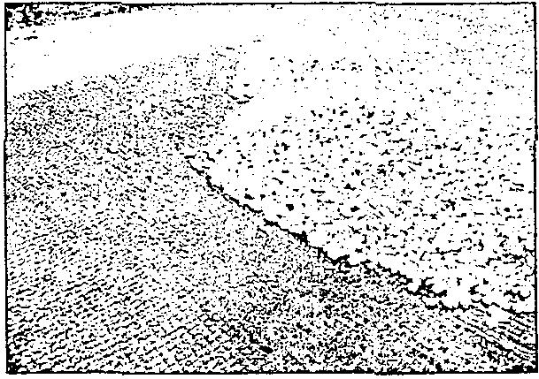 рис. 19