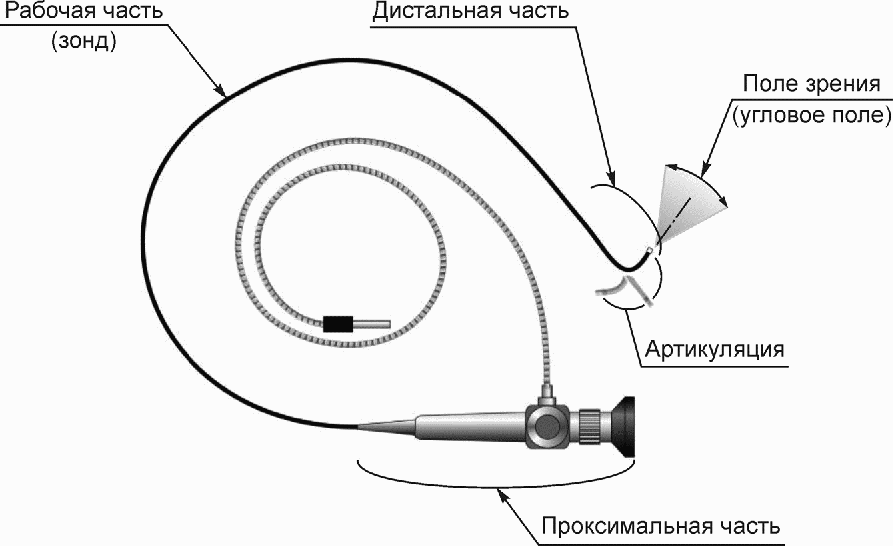 рис. 1