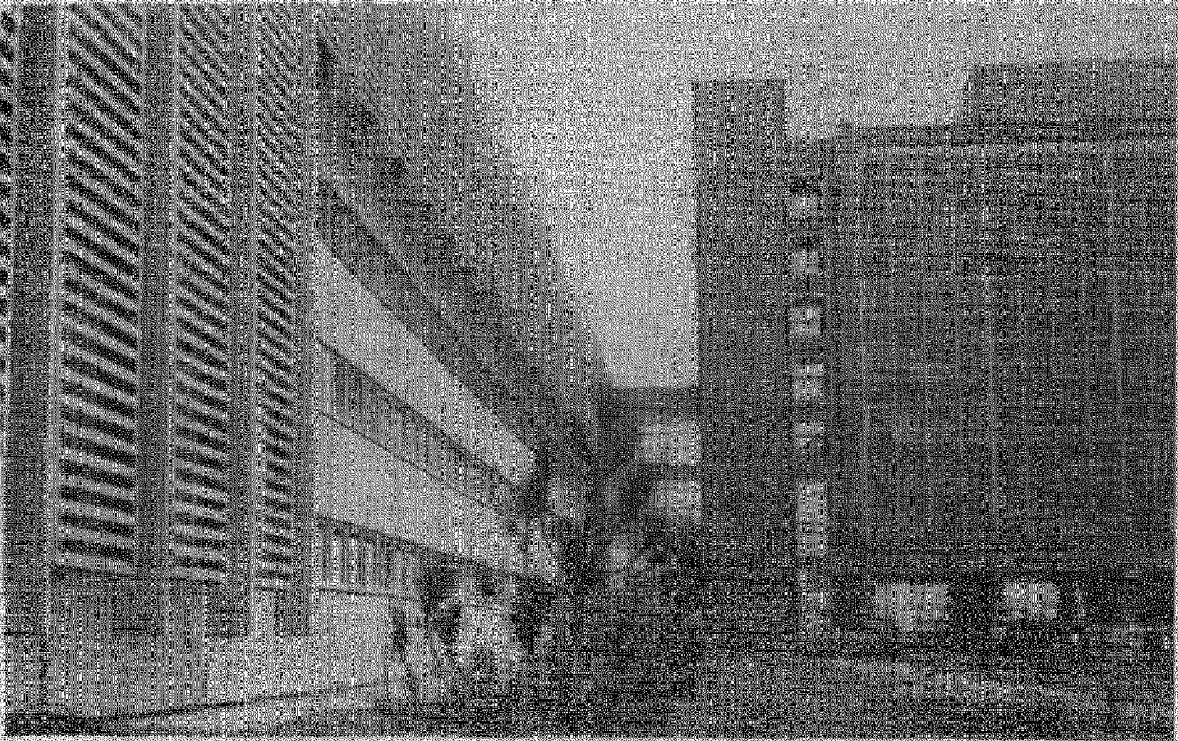 Д. Климатические особенности местности