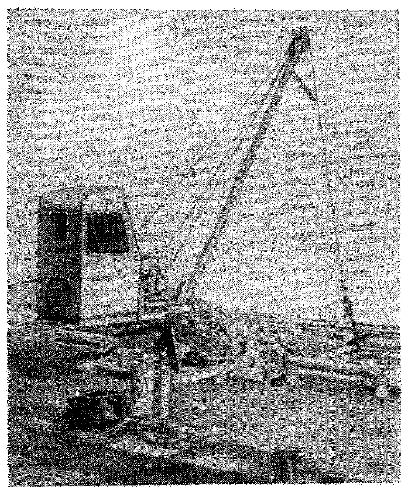 рис. 1