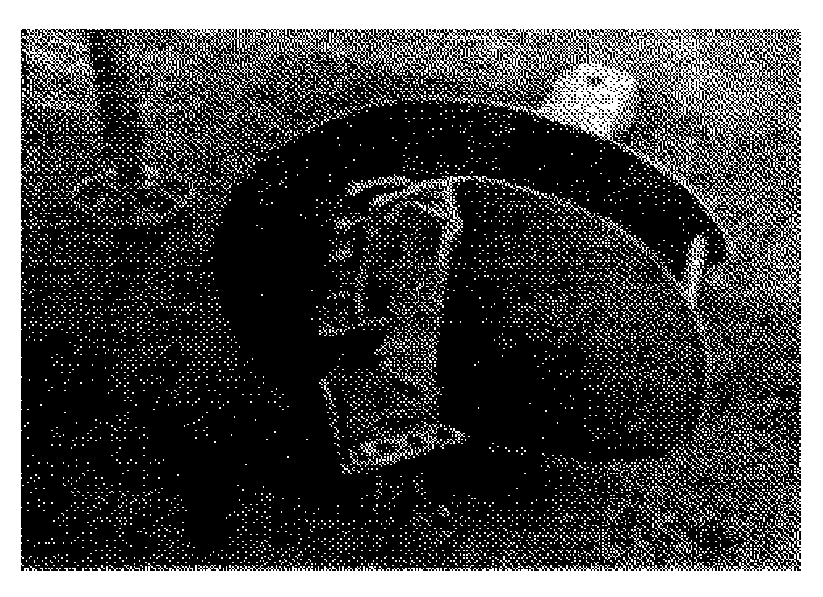 рис. 5