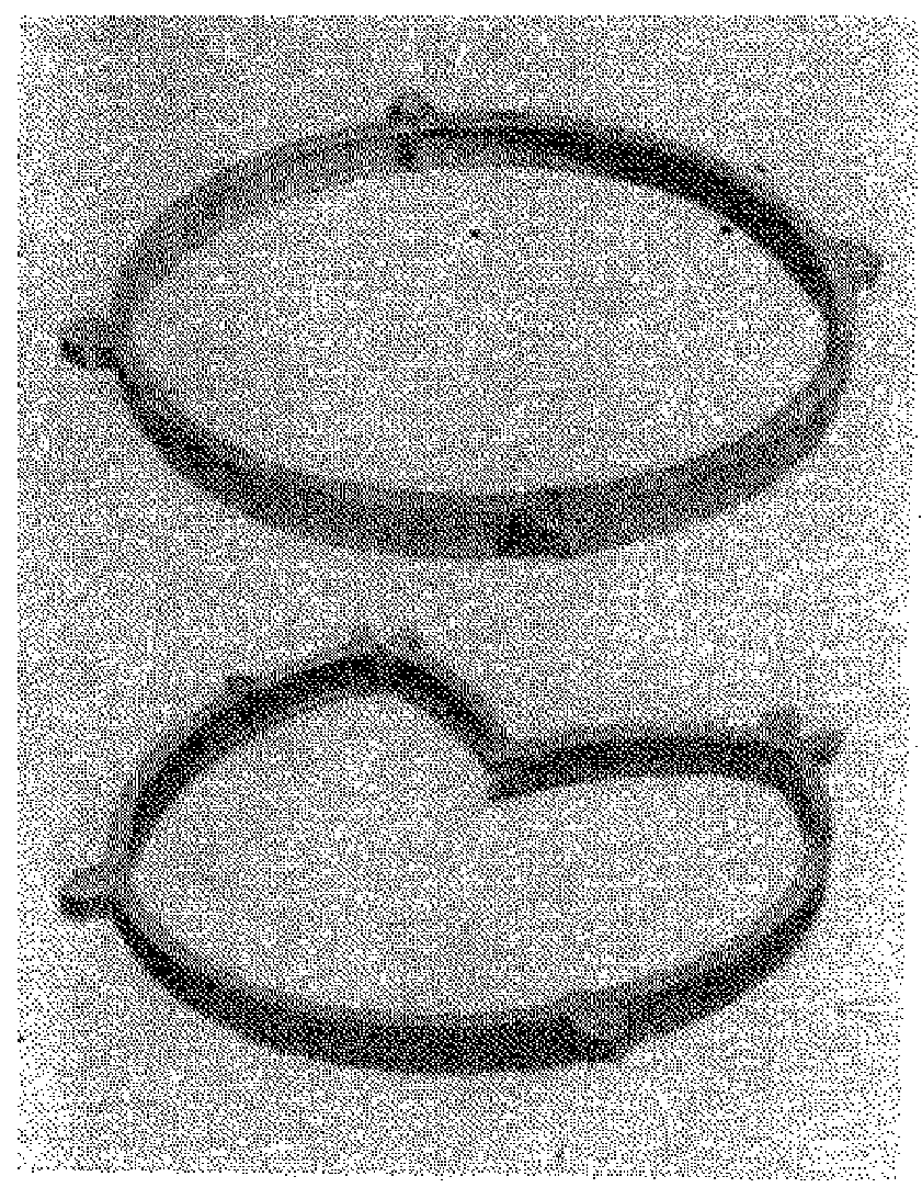 рис. 10