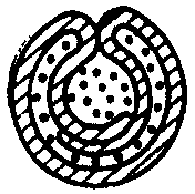 рис. 3