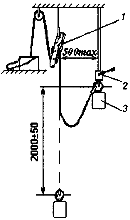рис. 6