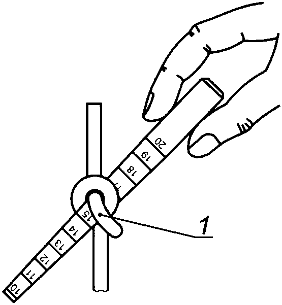 рис. 2