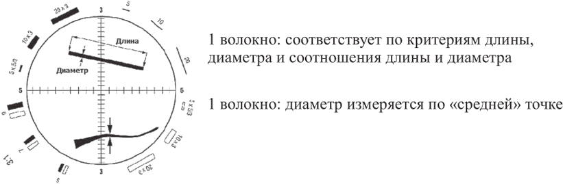 рис. 1