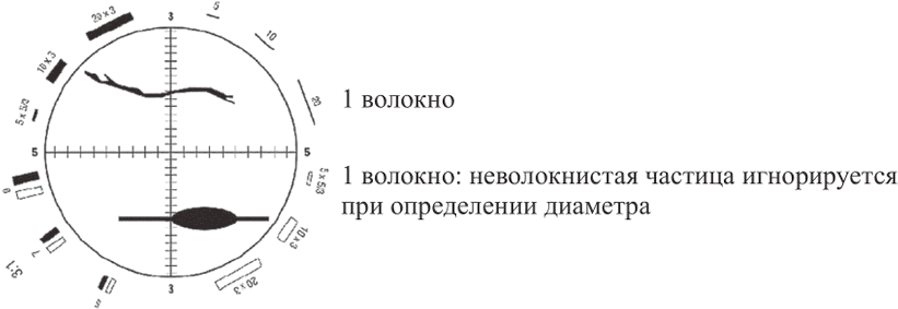 рис. 2
