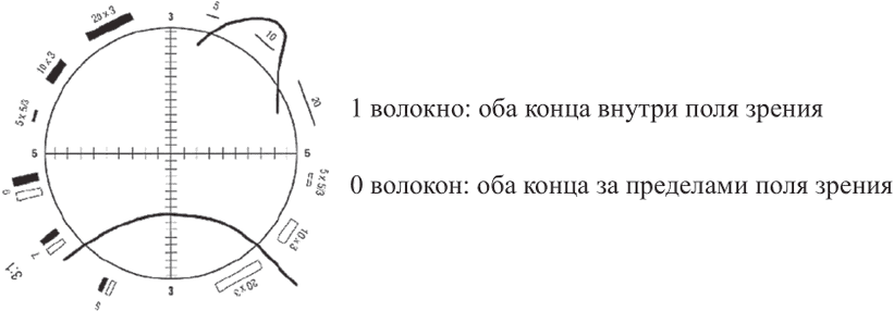 рис. 5