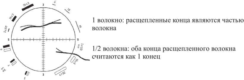 рис. 6