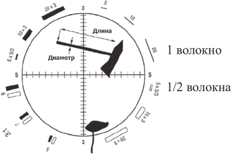 рис. 9