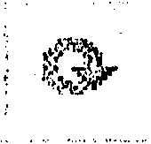 рис. 1