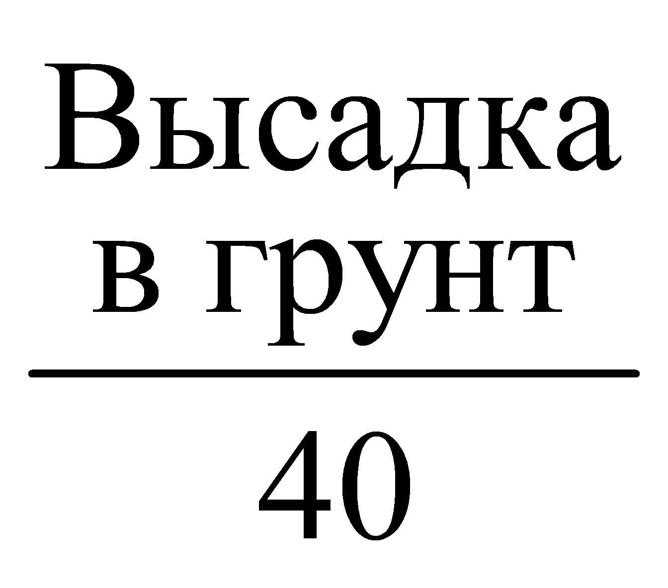 Высадкав грунт40