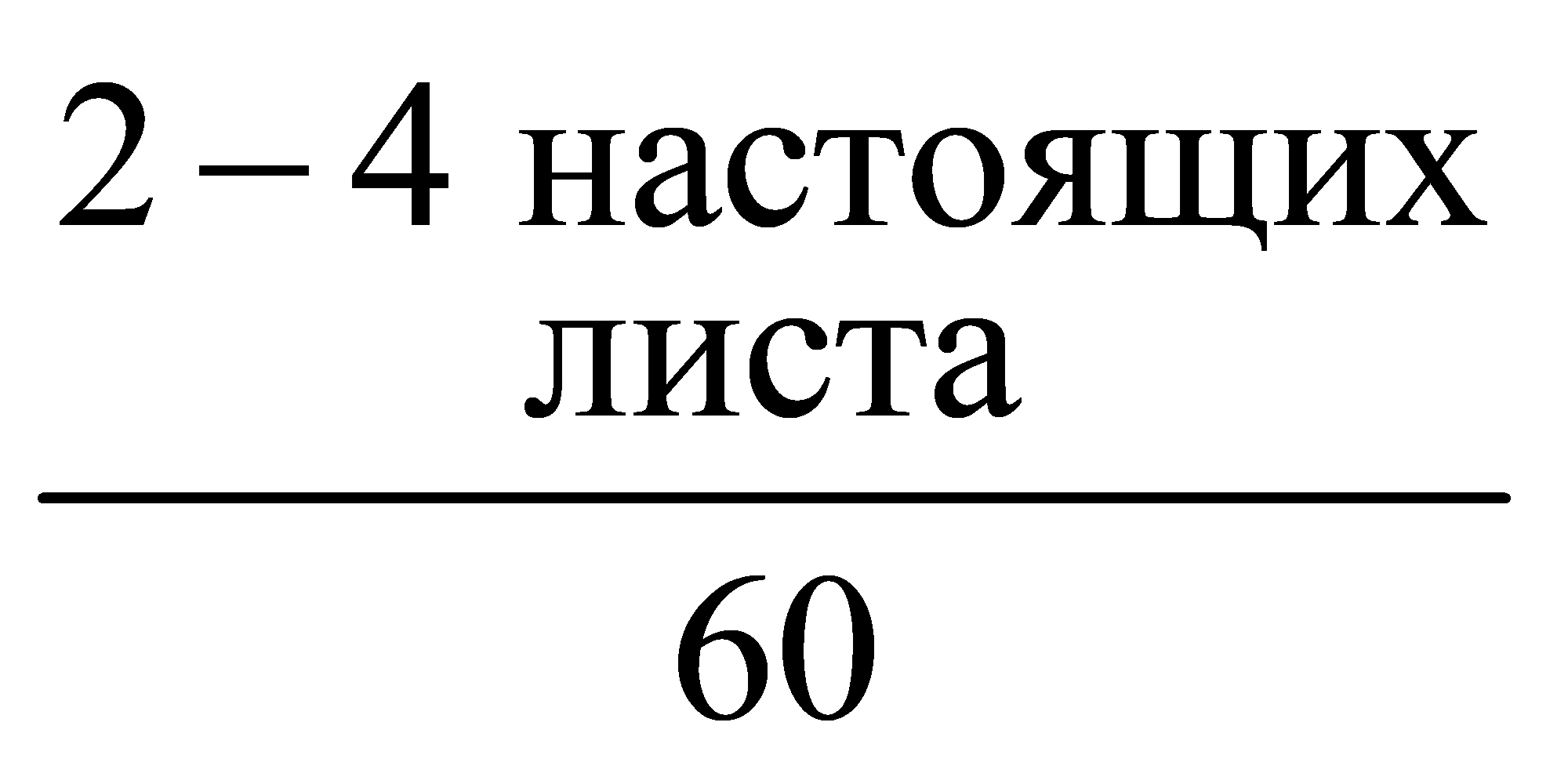 24 настоящихлиста60-