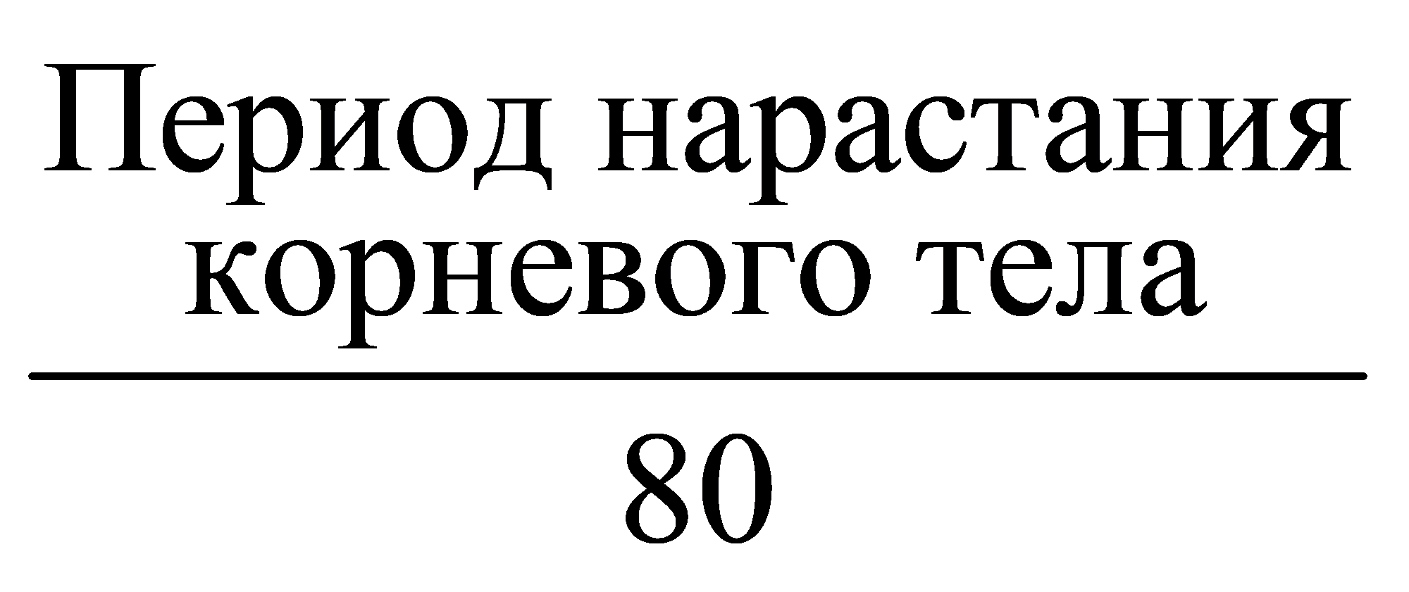 Период нарастаниякорневого тела80