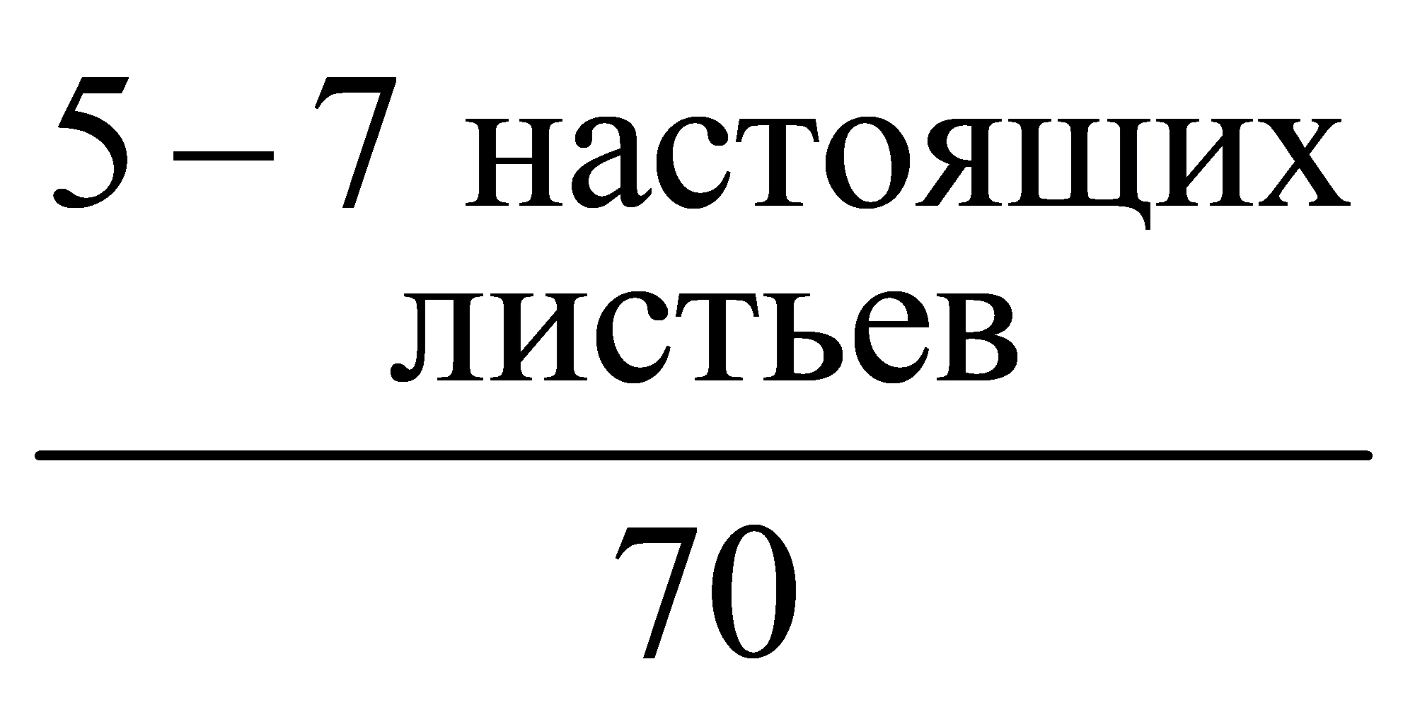 57 настоящихлистьев70-