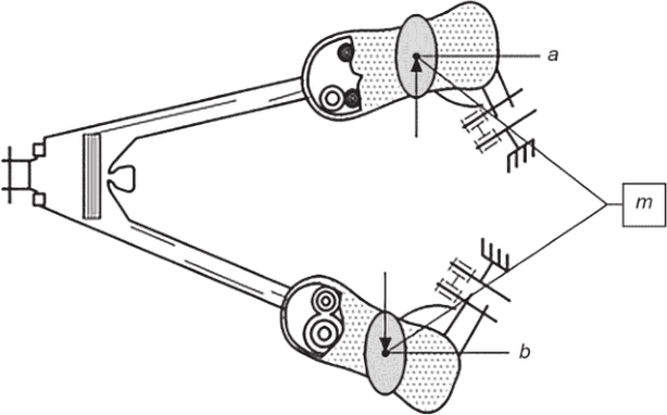 рис. 7