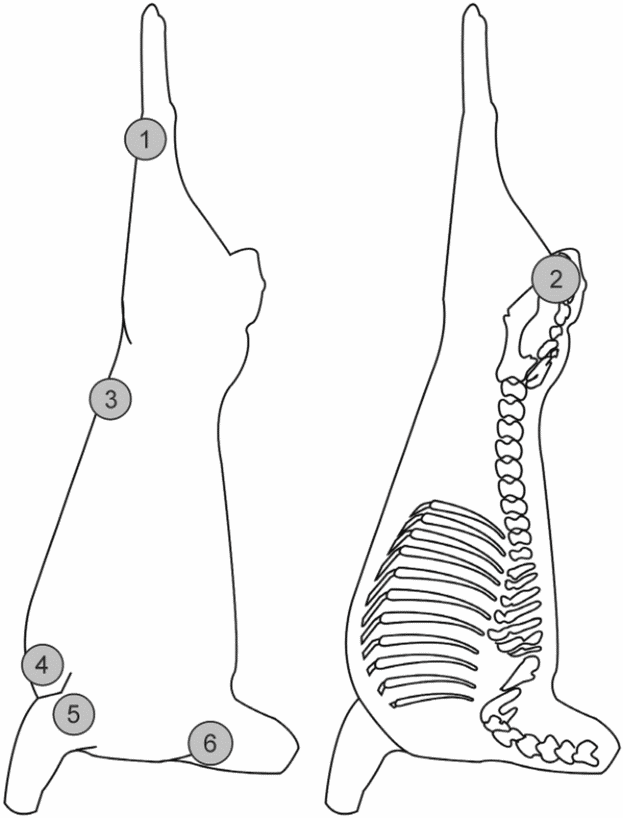рис. 3