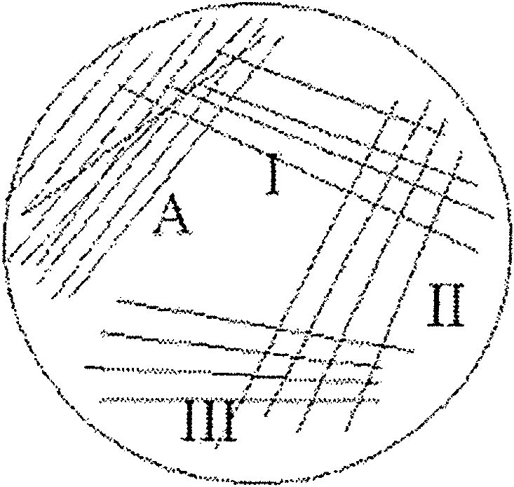 VIII. Бактериологическая диагностика