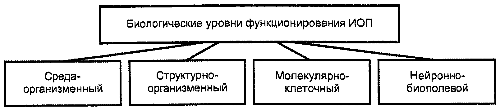 5. Общие положения