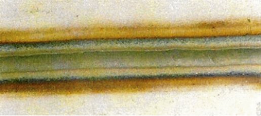 рис. 4