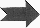 рис. 1