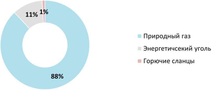 1.3 Топливо