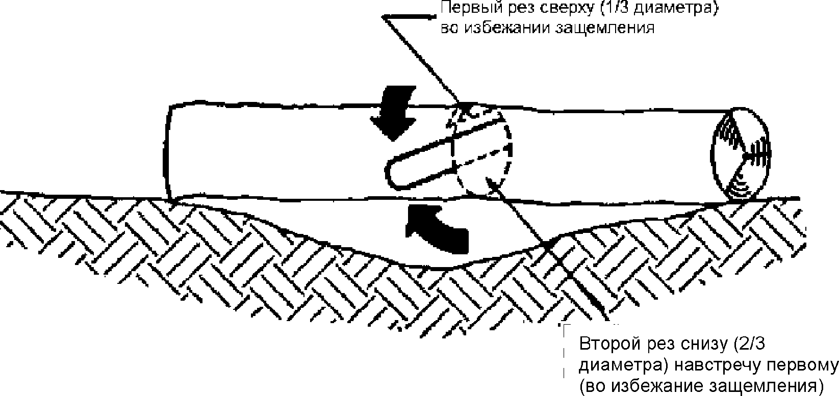 31. Радиация, токсичность и подобные опасности