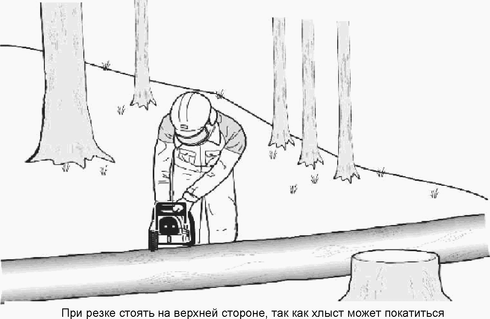 31. Радиация, токсичность и подобные опасности