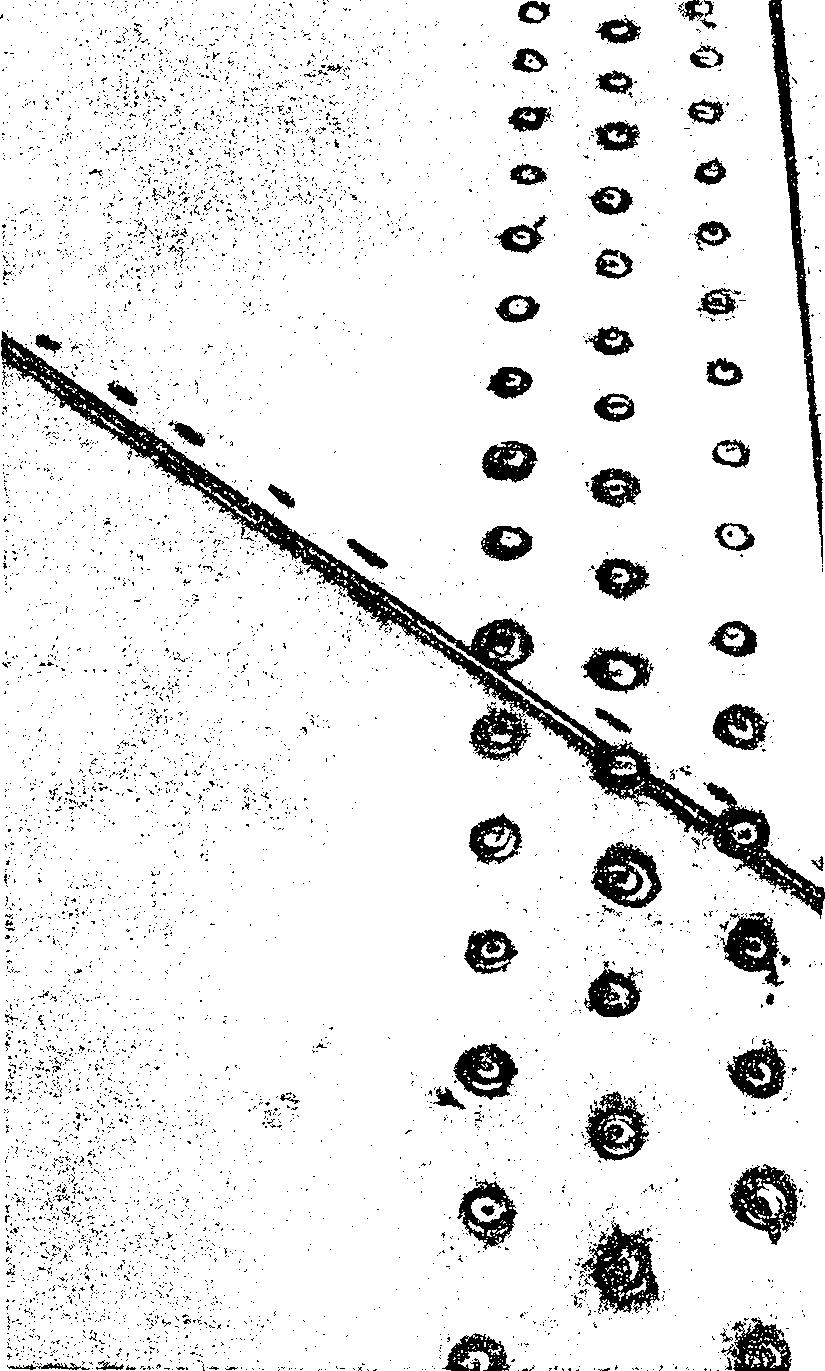 рис. 36