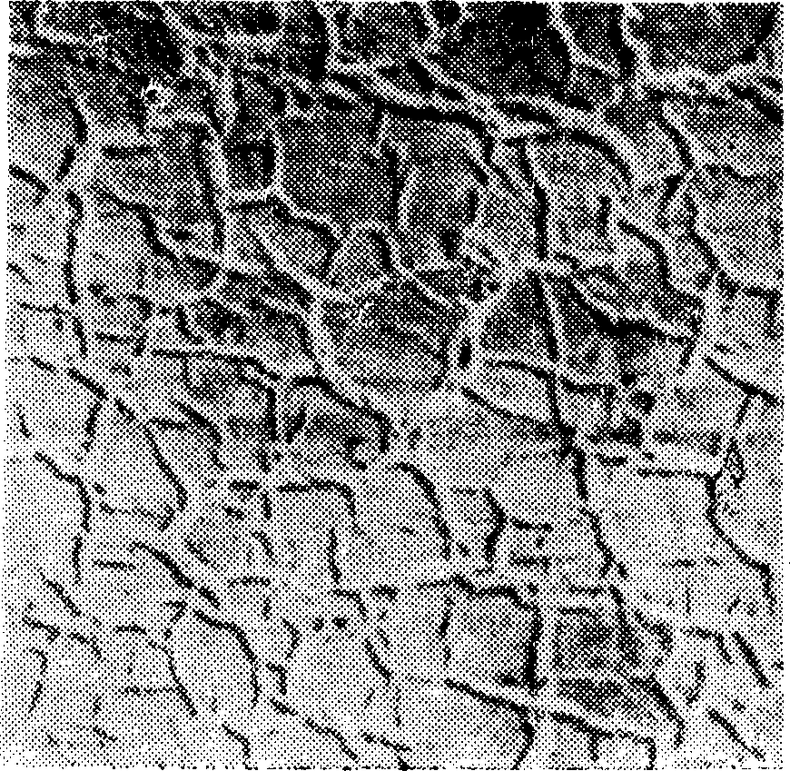 6. Смолы