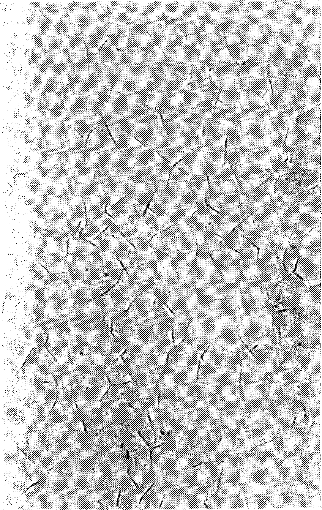 6. Смолы