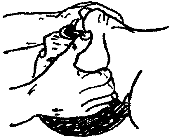 рис. 12