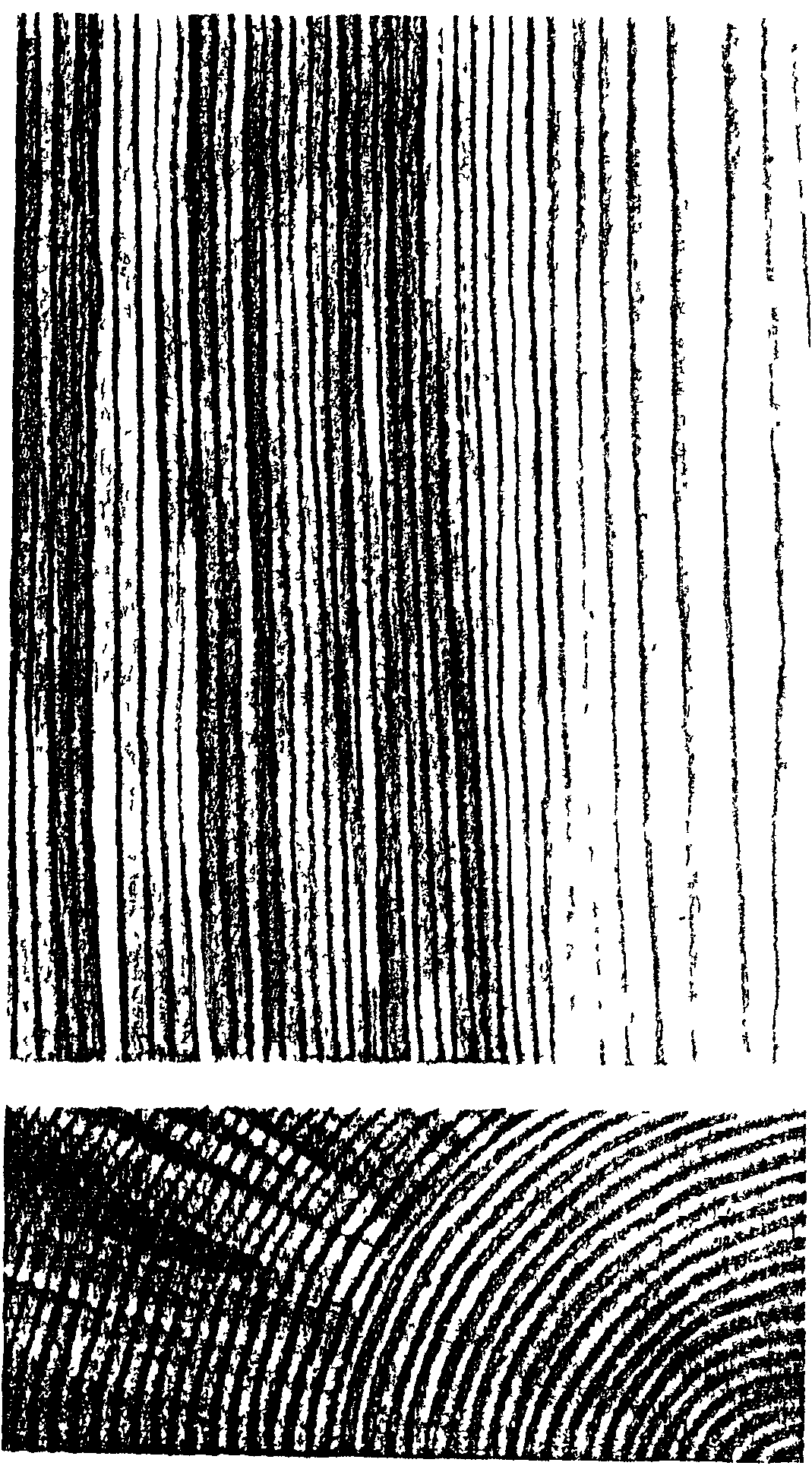 рис. 64