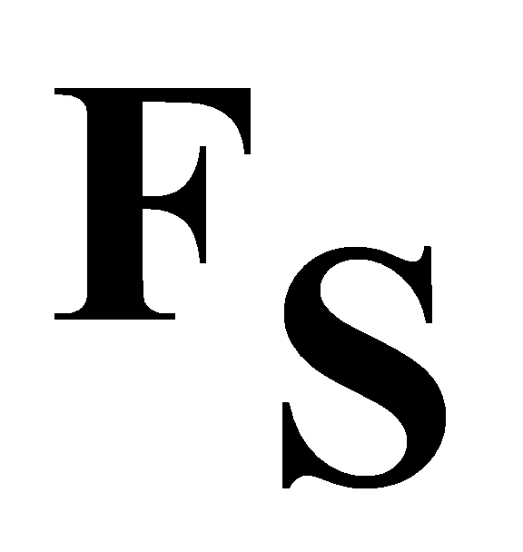 FS
