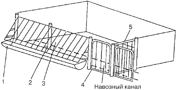 рис. 37