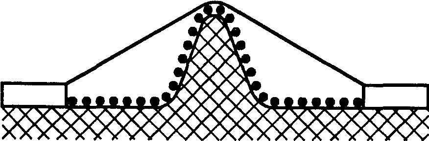 31. Радиация, токсичность и подобные опасности