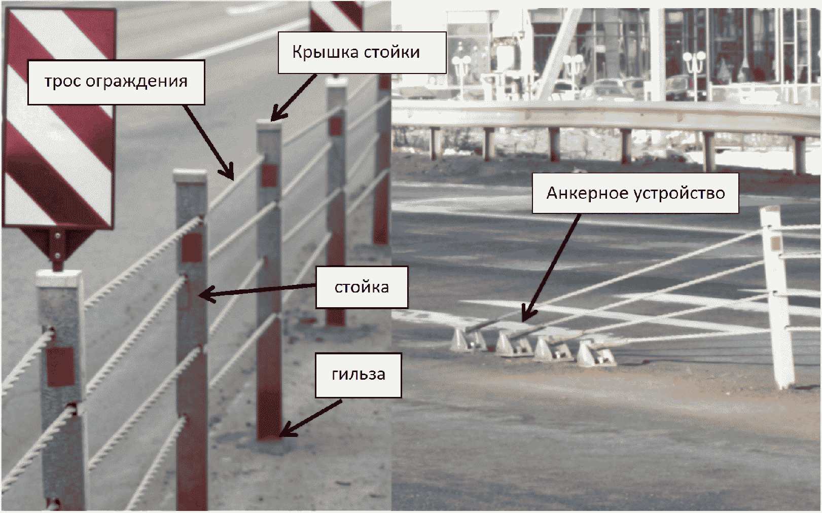 Предисловие