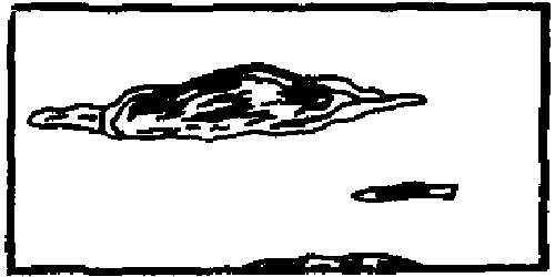 рис. 1
