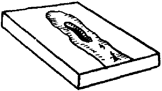 рис. 16