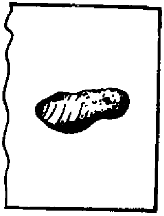 рис. 59