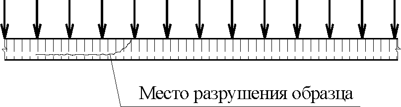 10. Гарантии изготовителя