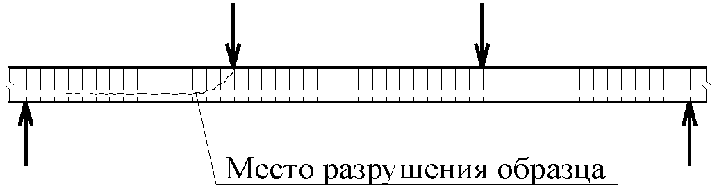 10. Гарантии изготовителя