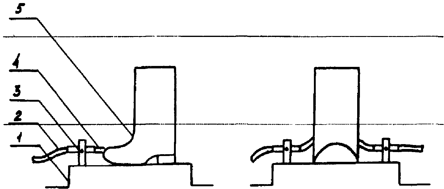 рис. 1
